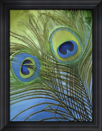 Framed Peacock Candy I Print