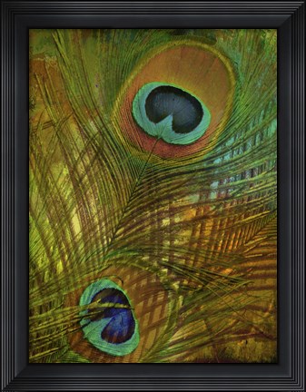 Framed Peacock Candy II Print