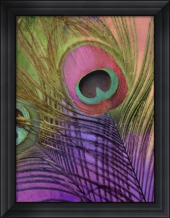 Framed Peacock Candy III Print