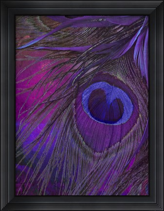 Framed Peacock Candy IV Print