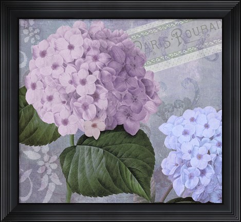Framed Hortensia 2 Print