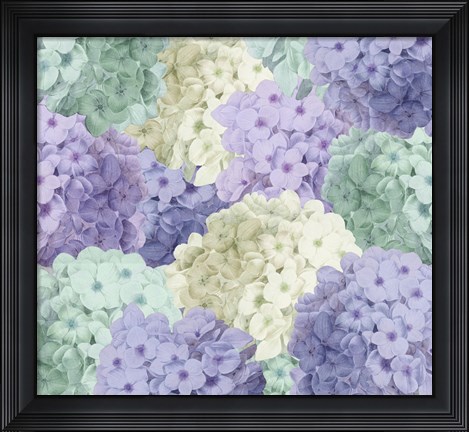 Framed Hortensia Groundless Cool Tones Print