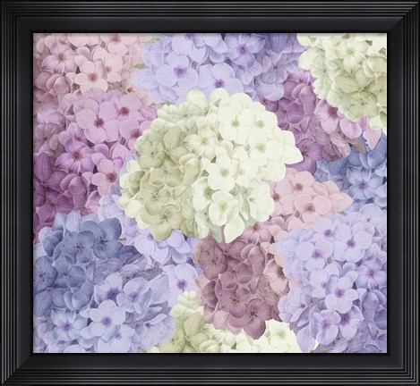 Framed Hortensia Groundless Warm Tones Print