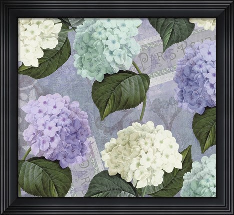 Framed Hortensia Lavenders Print