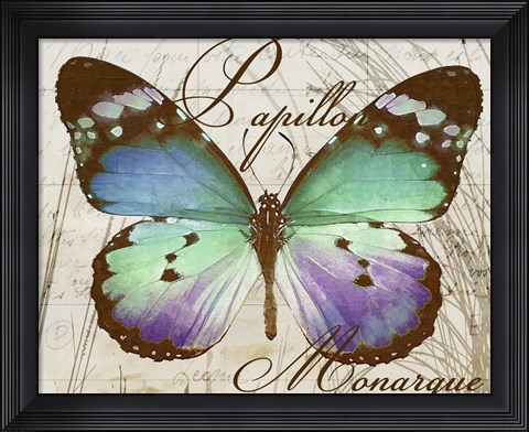 Framed Papillon I Print