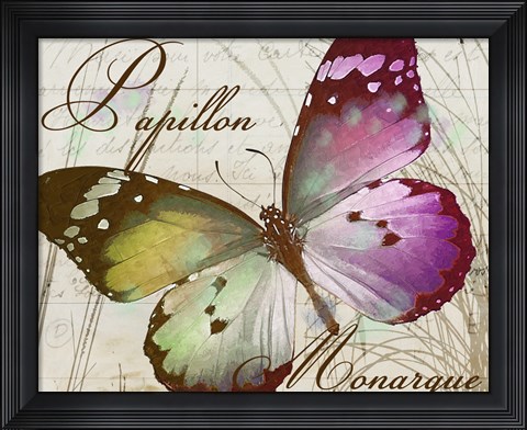 Framed Papillon II Print