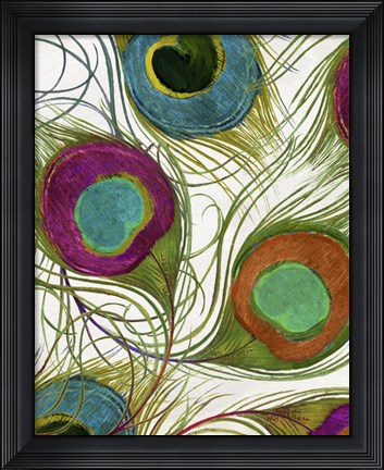 Framed Peacock Feathers II Print