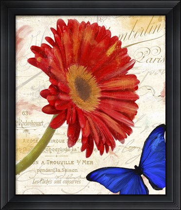 Framed Gerbera Daisy Print