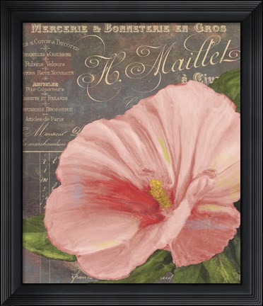 Framed Peach Hibiscus Print