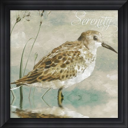 Framed Sand Piper I Print