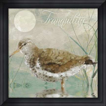 Framed Sand Piper II Print