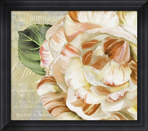Framed Camellias I Print
