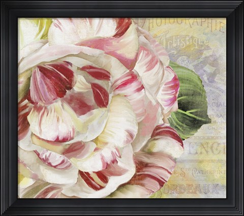 Framed Camellias II Print