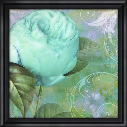 Framed Aqua Rose I Print