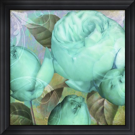Framed Aqua Rose II Print
