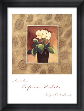 Framed African Violets Print