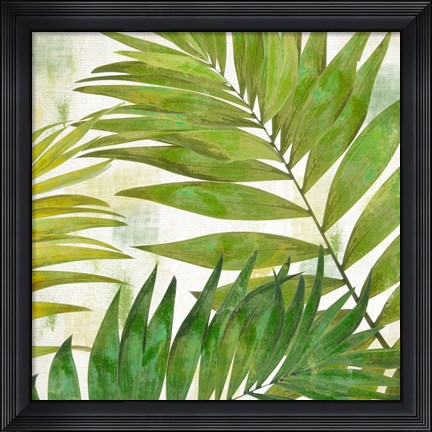 Framed Brasilia II Print