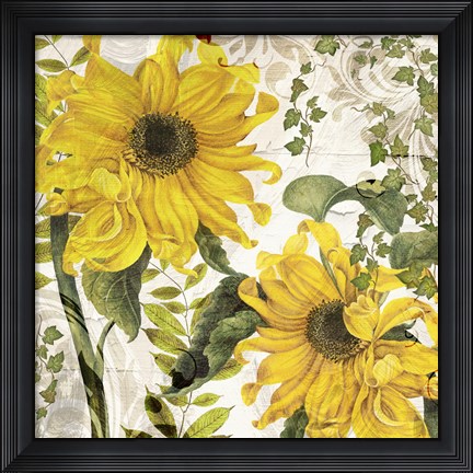 Framed Carina I Print