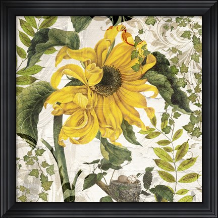 Framed Carina II Print