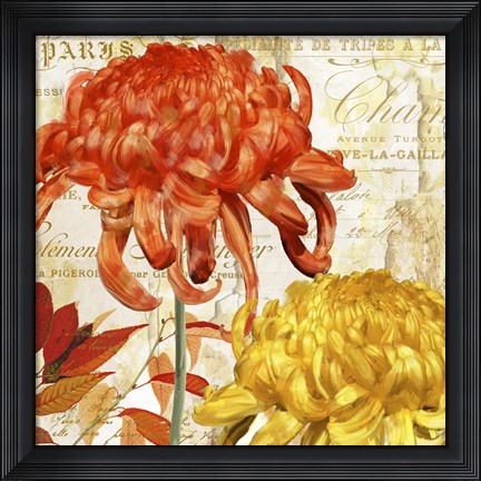 Framed Chrysanthemes I Print