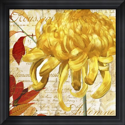 Framed Chrysanthemes II Print