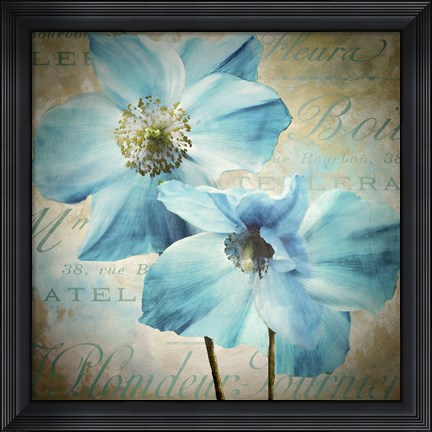 Framed Himalayan Blue I Print