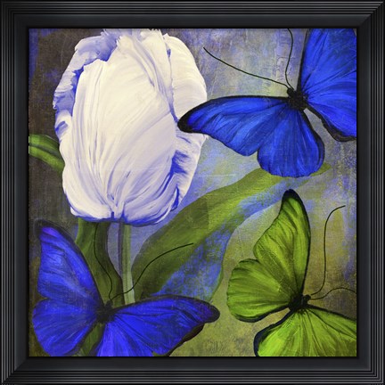 Framed Morphos One Print