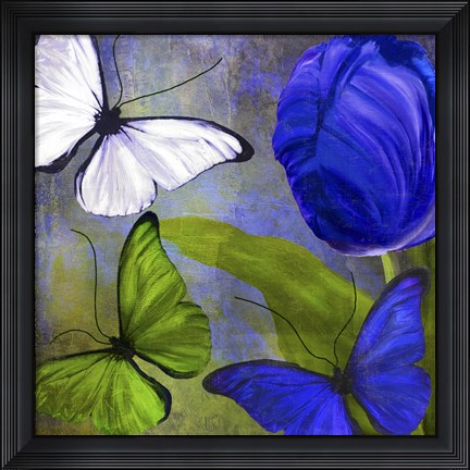 Framed Morphos Two Print