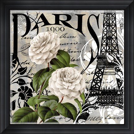 Framed Paris Blanc II Print