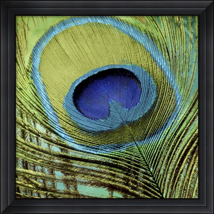 Framed Peacock Candy V Print
