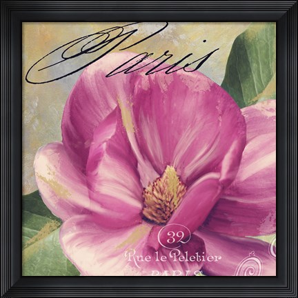 Framed Pink Magnolia I Print