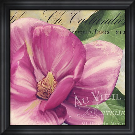 Framed Pink Magnolia II Print