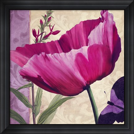 Framed Pink Poppy I Print