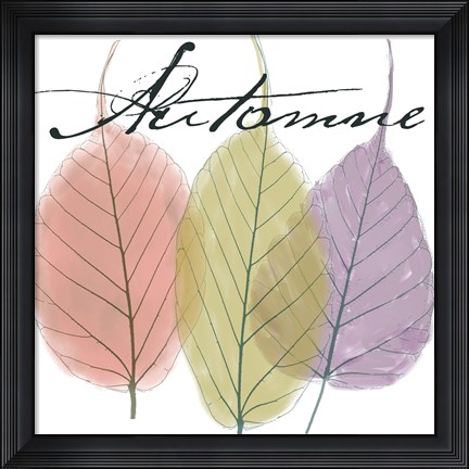 Framed Seasons II Print