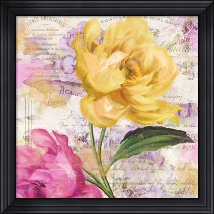 Framed Sitting Pretty II Print