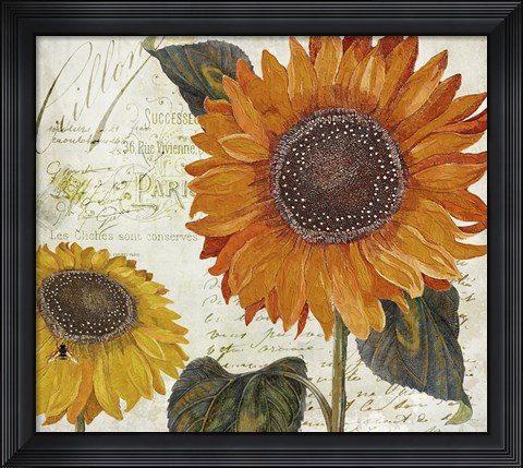 Framed Sundresses II Print