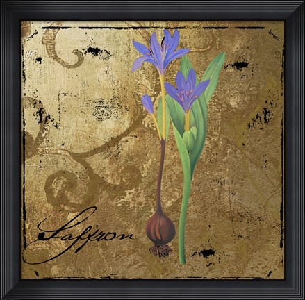 Framed Black Gold Herbs II Print