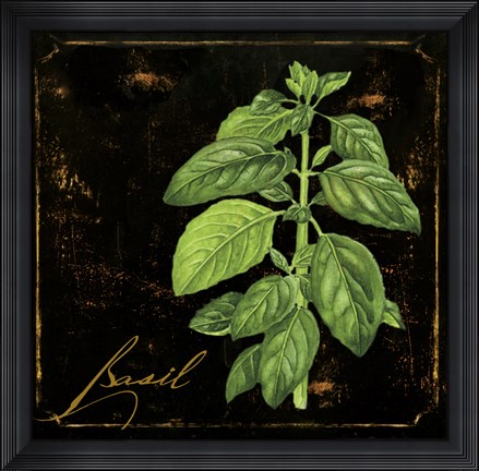 Framed Black Gold Herbs IV Print