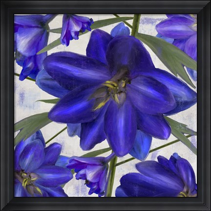 Framed Delphine I Print