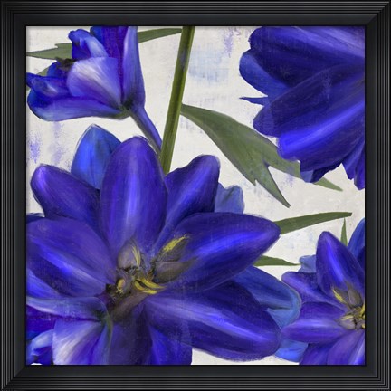 Framed Delphine II Print