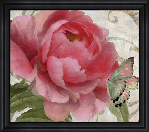 Framed Apricot Peonies II Print