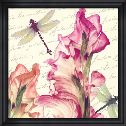 Framed Dragonfly Morning I Print