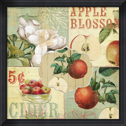 Framed Apple Blossoms I Print