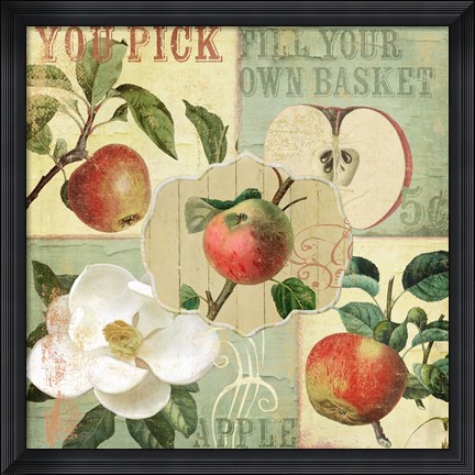 Framed Apple Blossoms II Print
