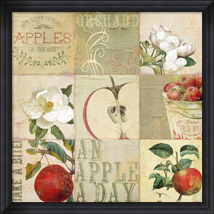 Framed Apple Blossoms III Print