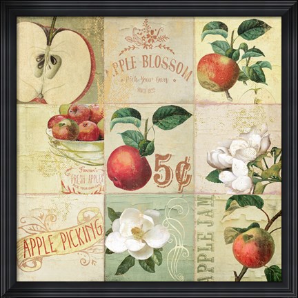 Framed Apple Blossoms IV Print