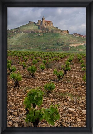 Framed Vineyard in stony soil with San Vicente de la Sonsierra Village, La Rioja, Spain Print