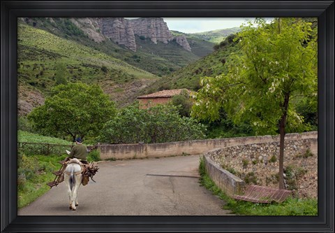 Framed Old man rides a donkey loaded with wood, Anguiano, La Rioja, Spain Print