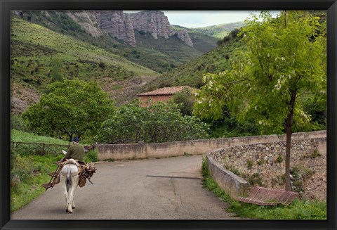 Framed Old man rides a donkey loaded with wood, Anguiano, La Rioja, Spain Print