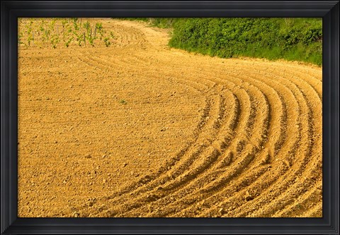 Framed Tilled Ground Ready for Planting, Brinas, La Rioja, Spain Print